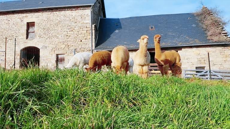 Gîte Corrèze
