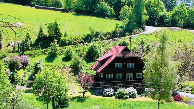 Ferienwohnung Schapbach