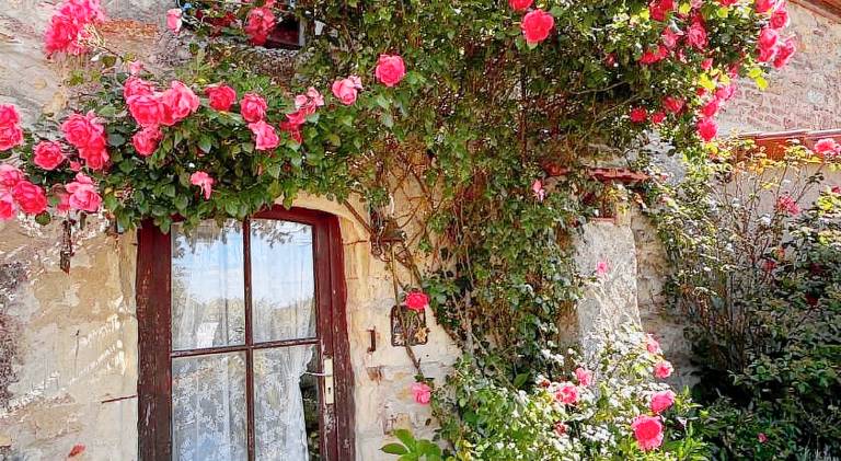House with yard, grill & private pool in Saumur