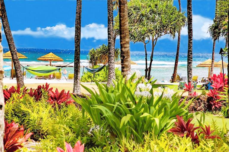 Villa Turtle Bay