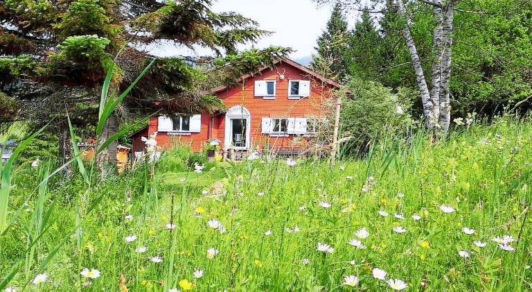 Vacation home with jacuzzi & pool in Wildhaus-Alt St. Johann