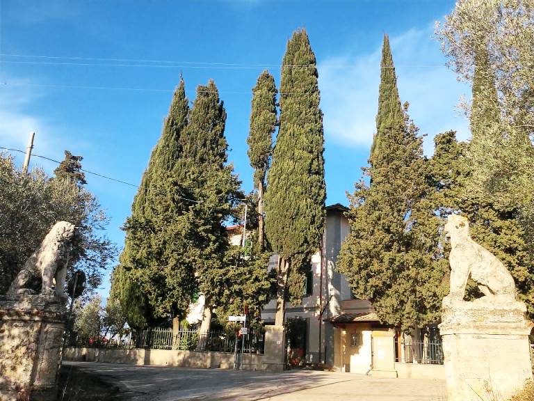 foto2