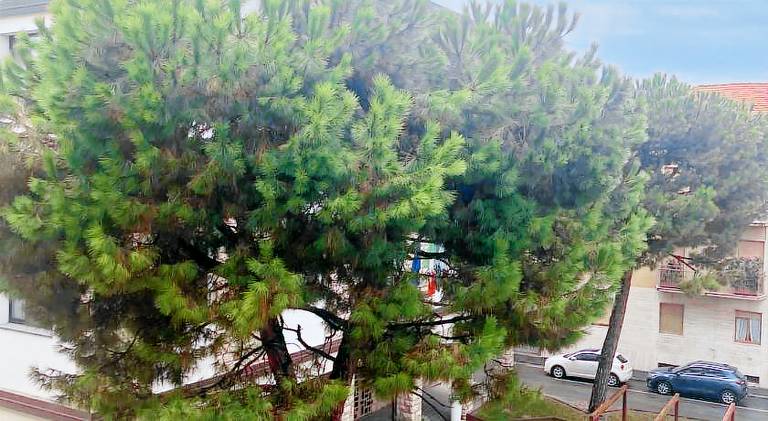 Rental apartment with 2 rooms for 4 persons — photo 5