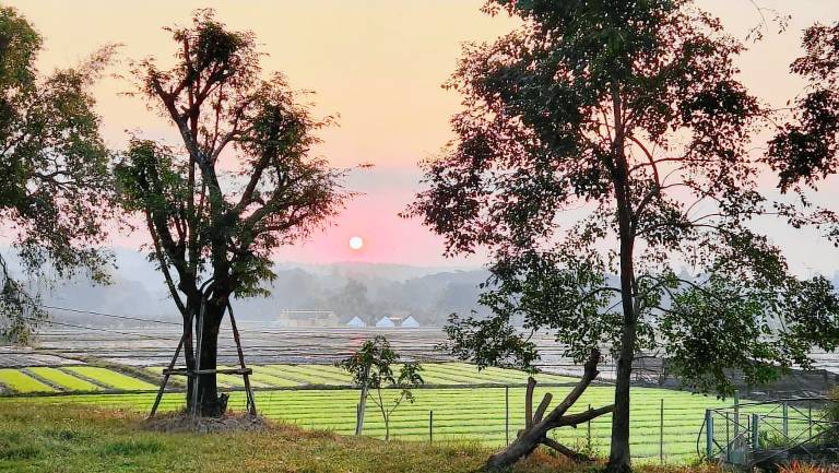 Farm with terrace & yard | Pets are welcome in Mae Rim
