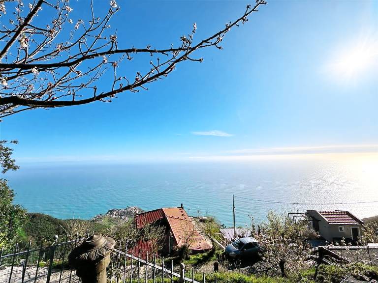 Chalet Cinque Terre