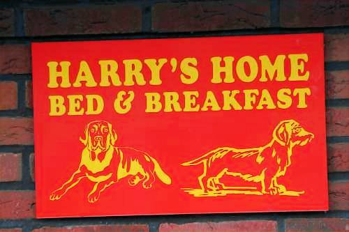 Bed & Breakfast  Hertogenwijk