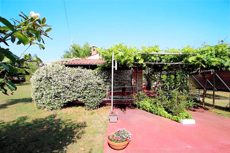 foto4