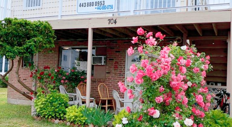 Holiday apartment with yard & patio in Ocean City, MD