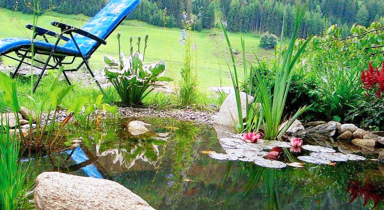 Nice apartment with garden | Ski nearby | Perfect for remote work | Pets are welcome — photo 5