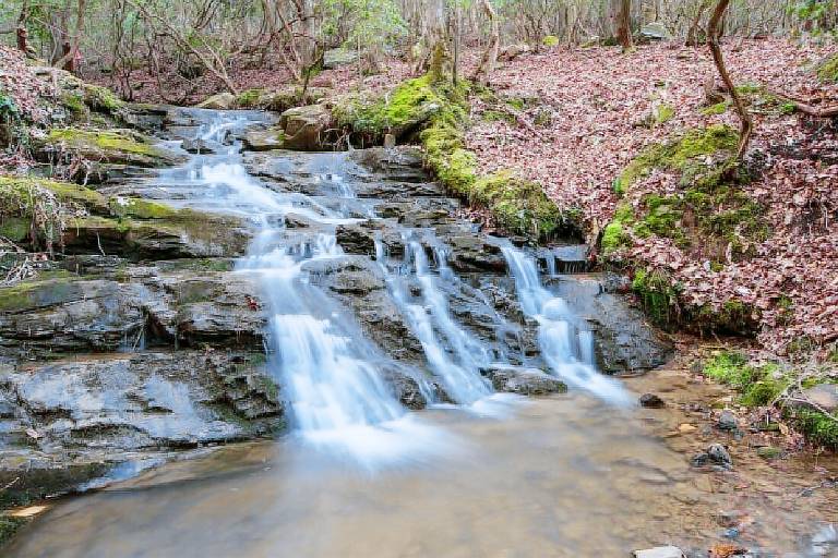 Cabin Ellijay