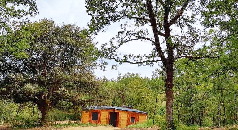 House with barbecue & patio in Montignac