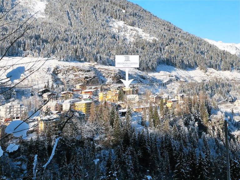 Rental apartment with terrace in Bad Gastein