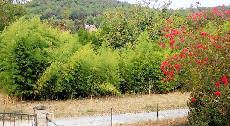 Les noyers in Beze