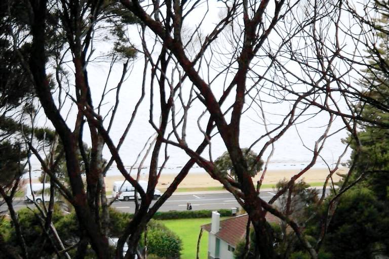 House Paihia