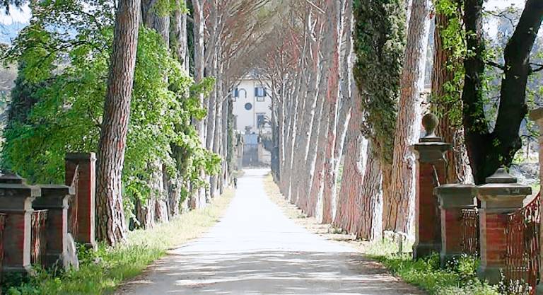 Villa Florenz
