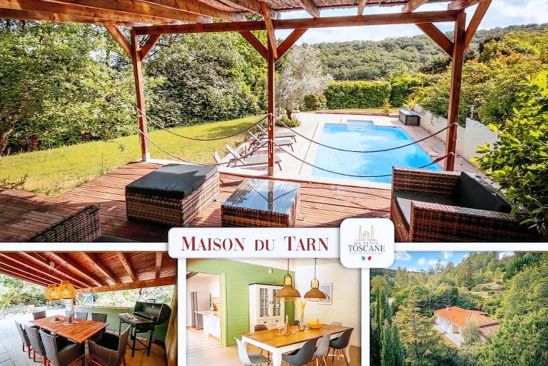 Maison de vacances Gaillac