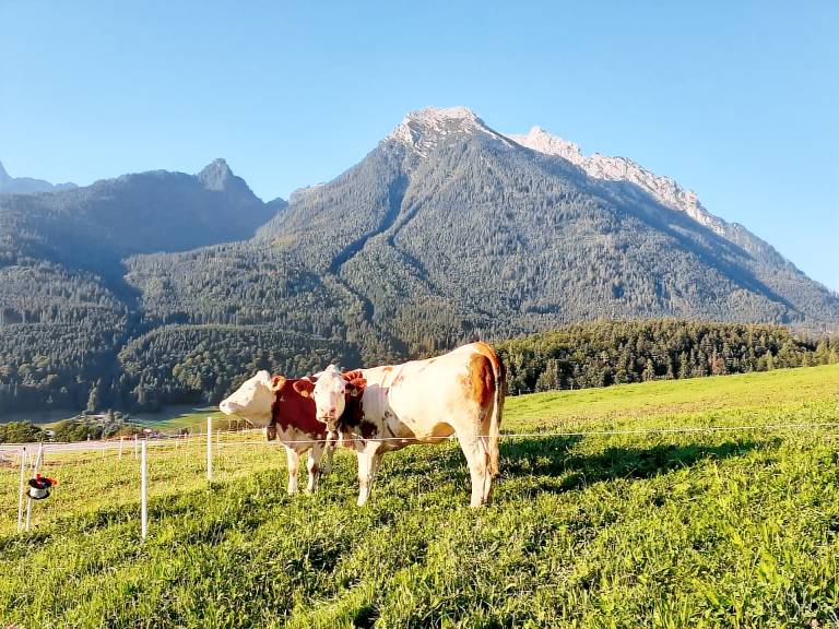 Klettnerlehen Ferienwohnung (DE Ramsau bei Berchtesgaden) - Spitzer Andreas - 52436 — photo 4