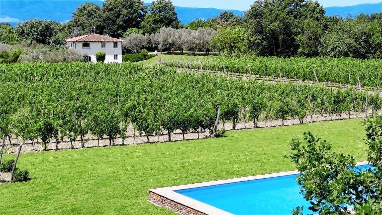Ferienhaus in Terranuova Bracciolini, Sizilien
