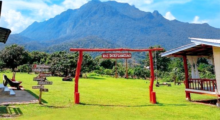 Doi Piang Dao Farm in Chiang Dao