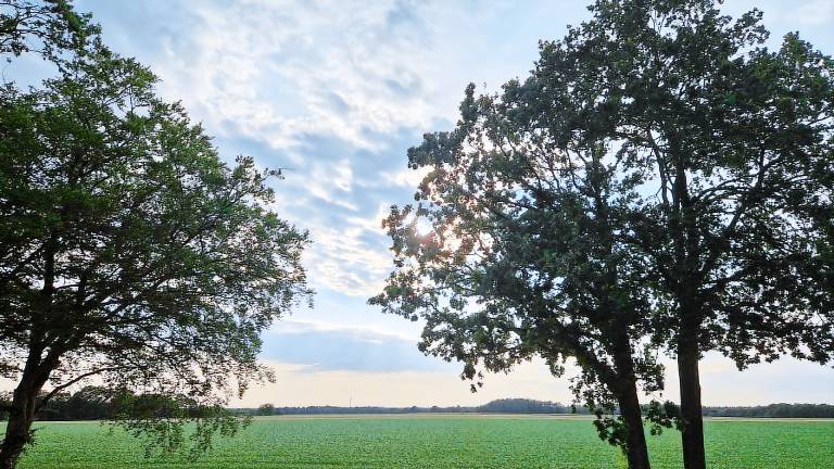 Ferienwohnung  Löningen