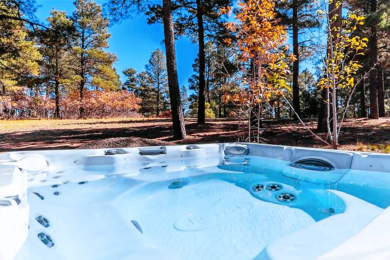 Cabin Pagosa Springs