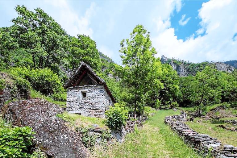 Chalet Ulrichen