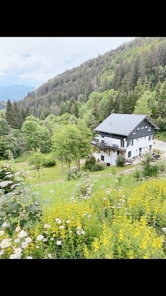 Alpehytte Les Rousses