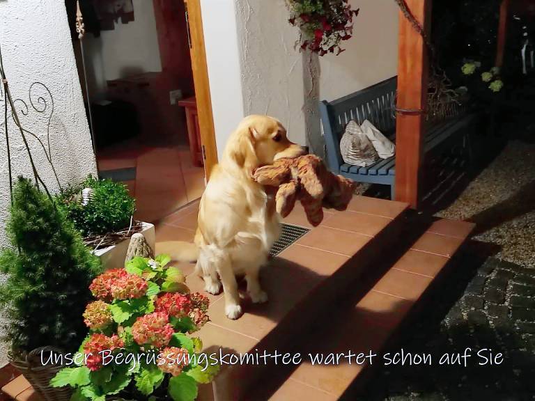 Ferienwohnung in Grafing, Grassau f&uuml;r max. 4 Personen