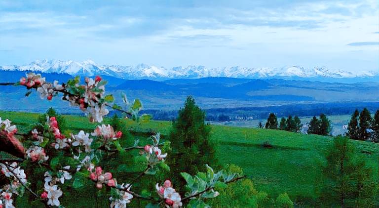 Domek w stylu alpejskim Frydman