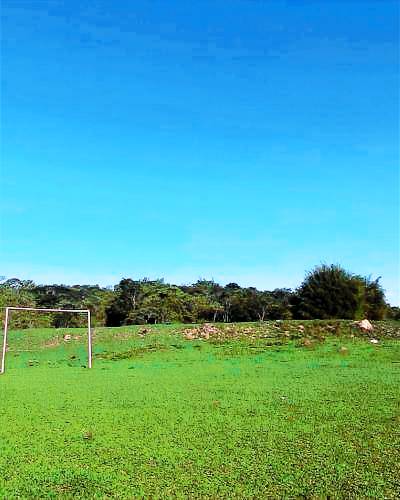 Casa Capim Rasteiro