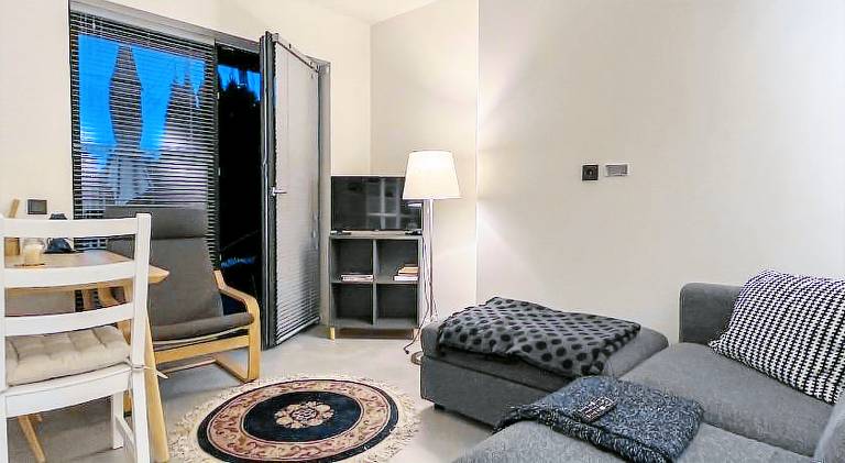 Rental apartment | Pet-friendly in Kaunas