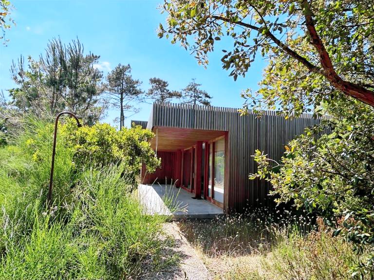 Ferienhaus Contis-Plage