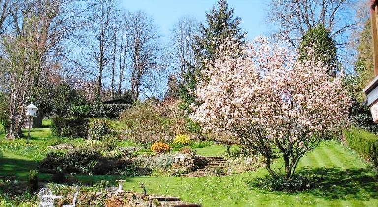 Bed and breakfast  Dorking