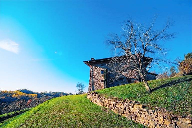 Agriturismo Ronchi Rò delle Fragole: Camera dei Fiori — photo 5