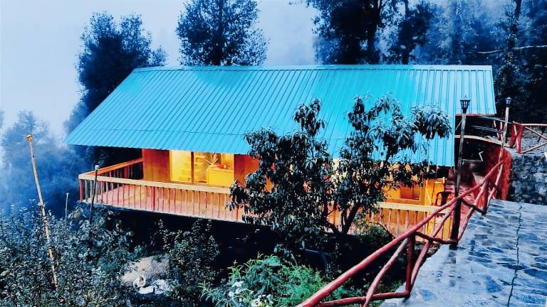 Tree Nest Resort in Shimla