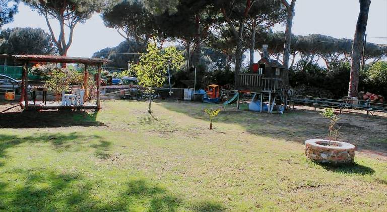Il Picchio Verde — photo 5