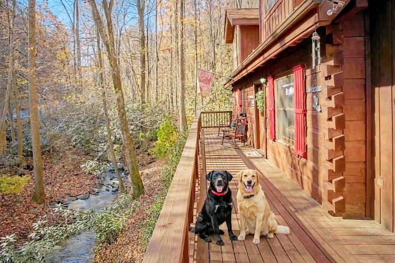Bear Creek: Creekside, Pet Friendly, Value in Gatlinburg, TN