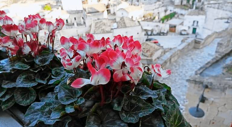 Slow Living B&B in Matera