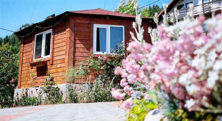 Transylvania Hut — photo 5