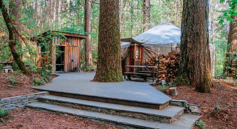 Your private Yurt in the woods - Nevada City in Nevada City, CA