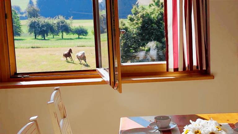 Ferienwohnung Nittenau