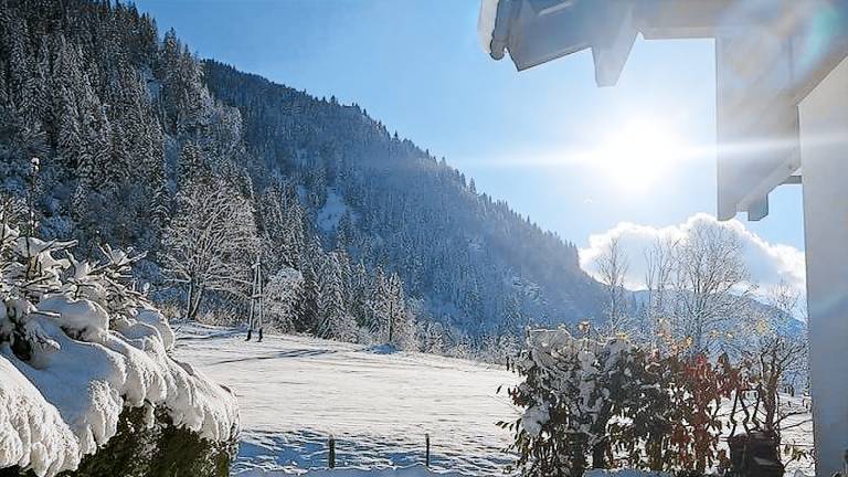 Ferienwohnung  Dorfgastein