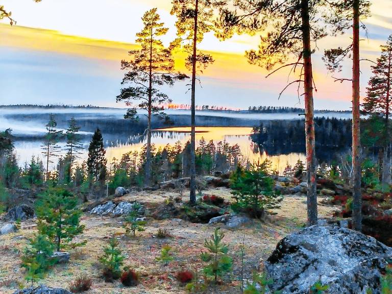 Vacation home with terrace & sauna | Nature view — photo 5