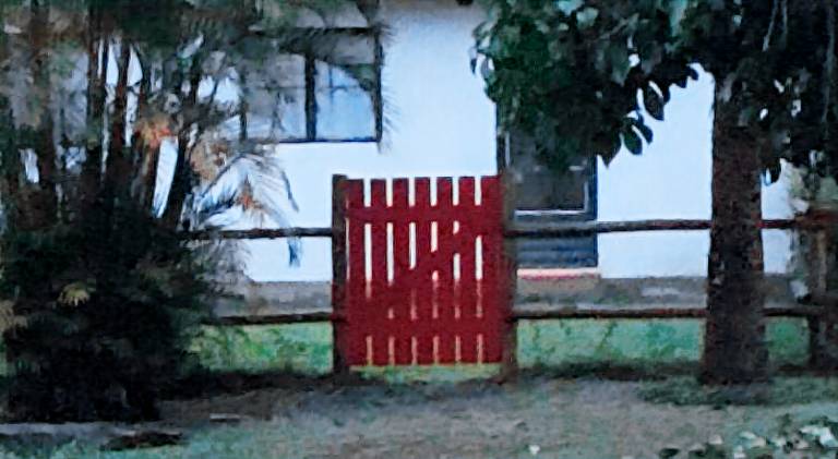 Pleasant house | Pet-friendly in Valença