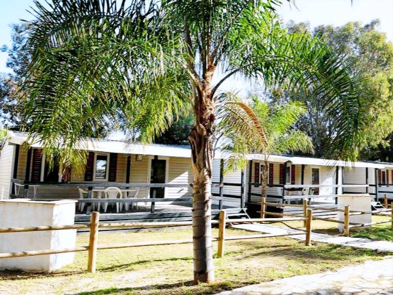 Family-friendly charming mobile home with patio, garden & pool | Garden view | Next to the beach | Pet-friendly — photo 4