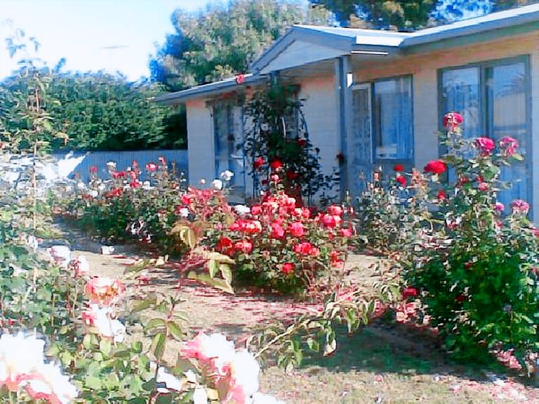 House Port Vincent