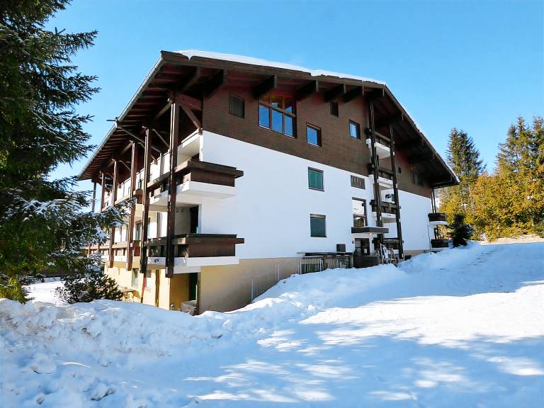 foto17
