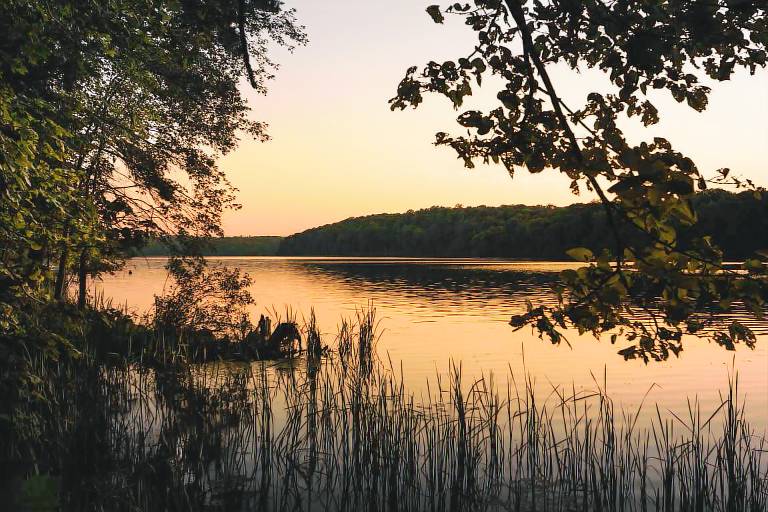 House Lake Wylie