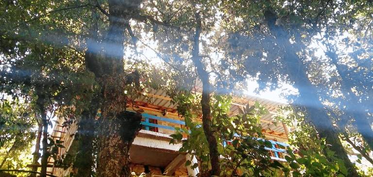Darima birdhouse — photo 5