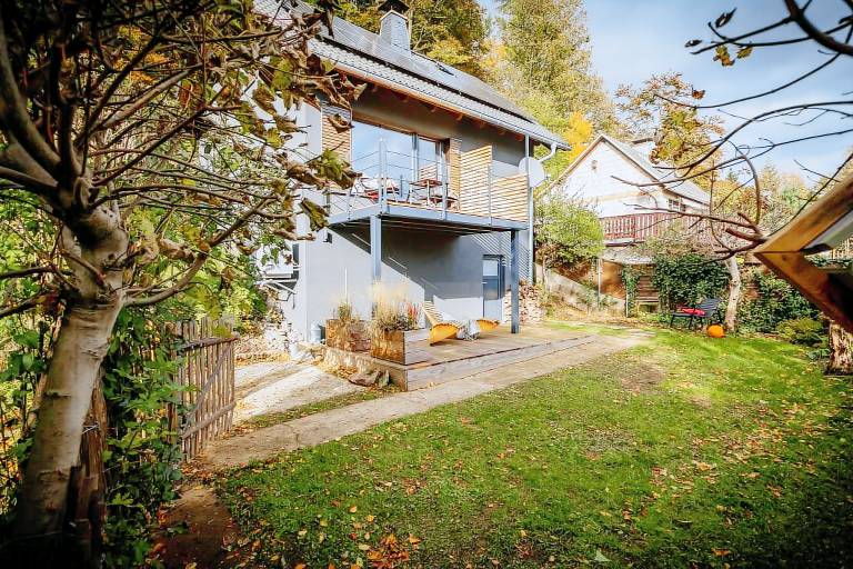 Modern chalet with sauna near Thuringian Forest — photo 3